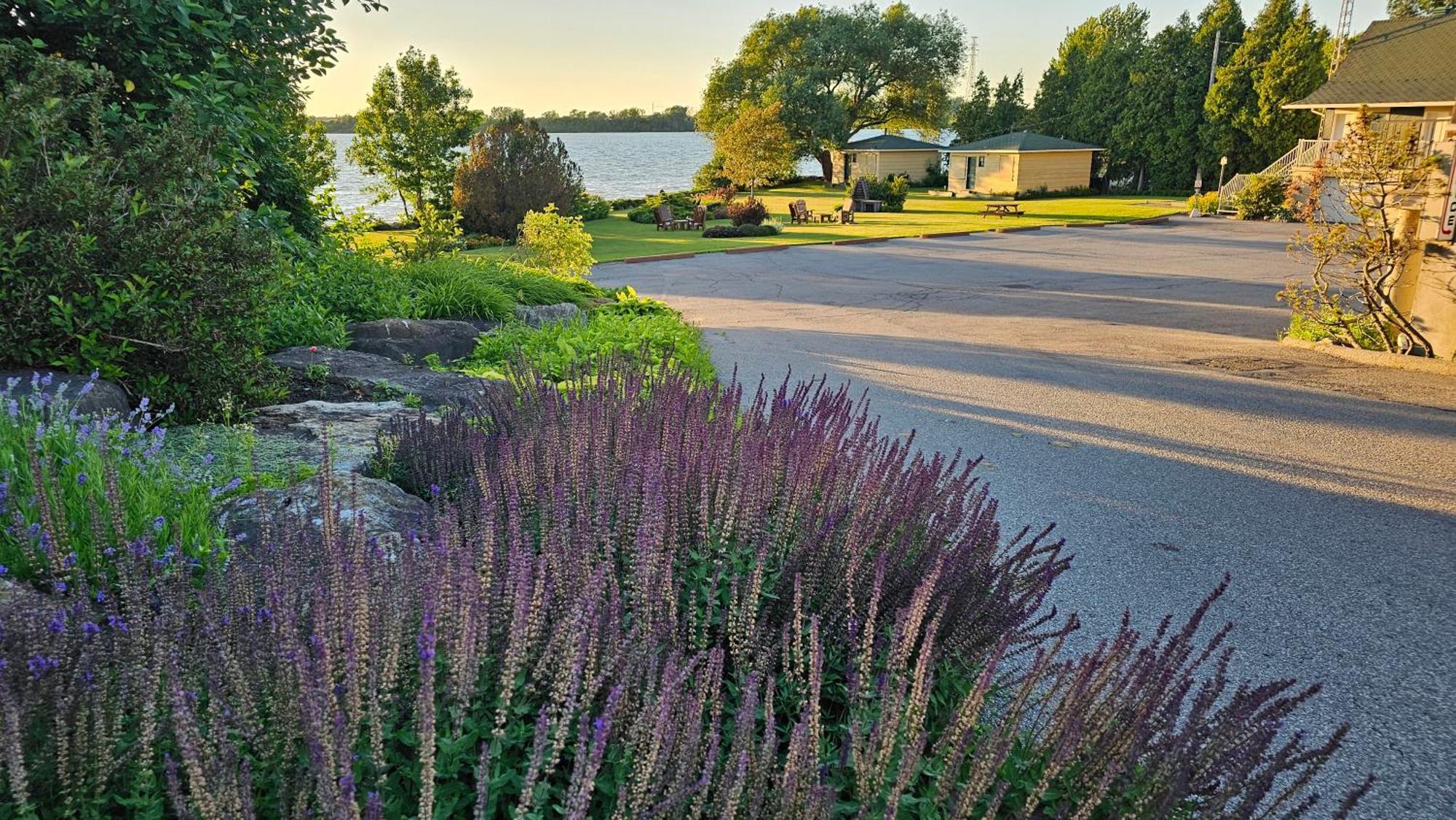 Hotel Oasis Lac St-Louis 瓦利菲尔德 外观 照片